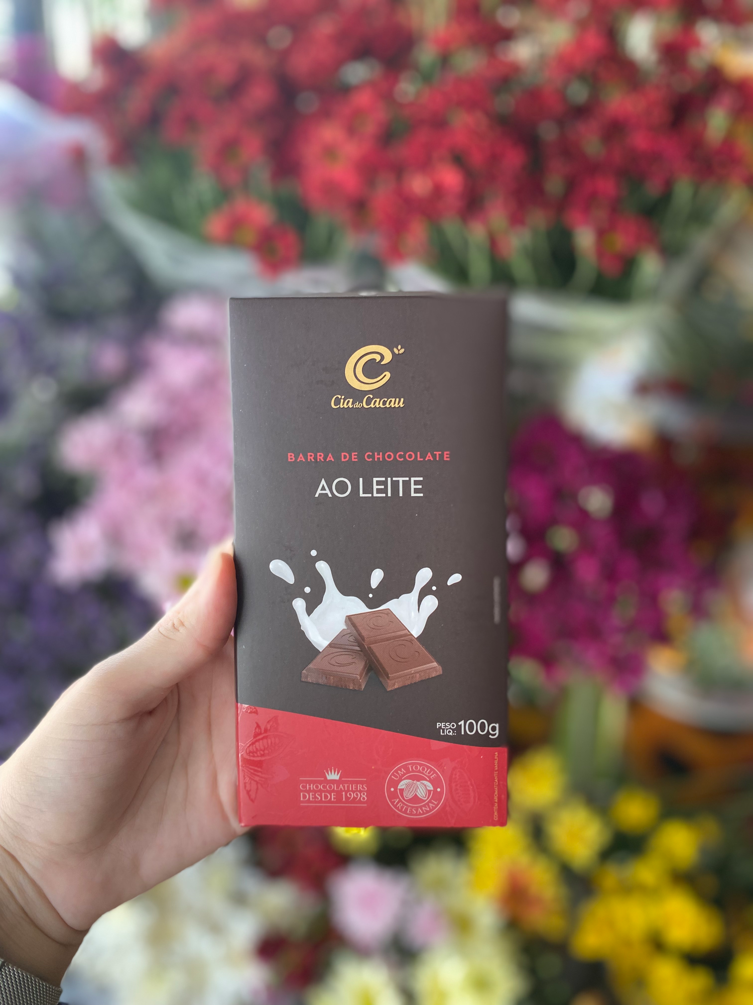 Barra de Chocolate Ao Leite 100g